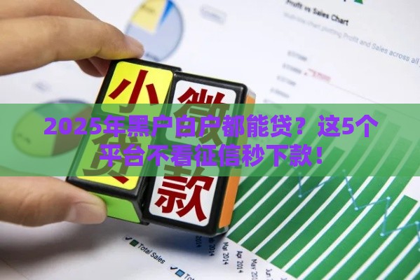 2025年黑户白户都能贷？这5个平台不看征信秒下款！