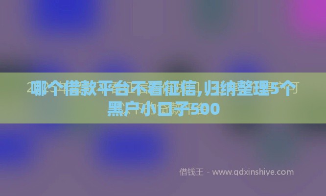 哪个借款平台不看征信,归纳整理5个黑户小口子500