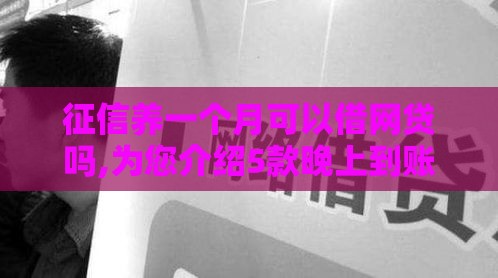 征信养一个月可以借网贷吗,为您介绍5款晚上到账的黑户口子