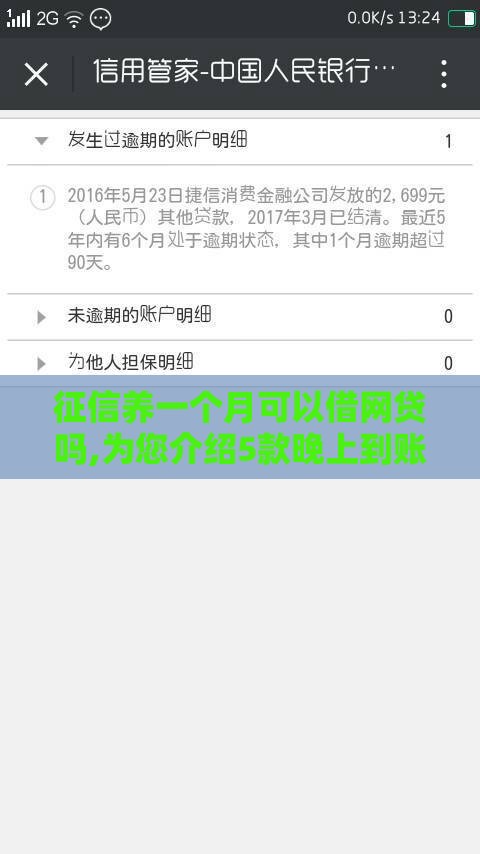 征信养一个月可以借网贷吗,为您介绍5款晚上到账的黑户口子