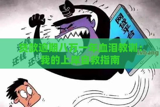 贷款逾期八万一年血泪教训：我的上岸自救指南