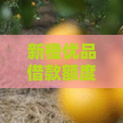 新橙优品借款额度8000,归纳整理5个求黑户下款的口子