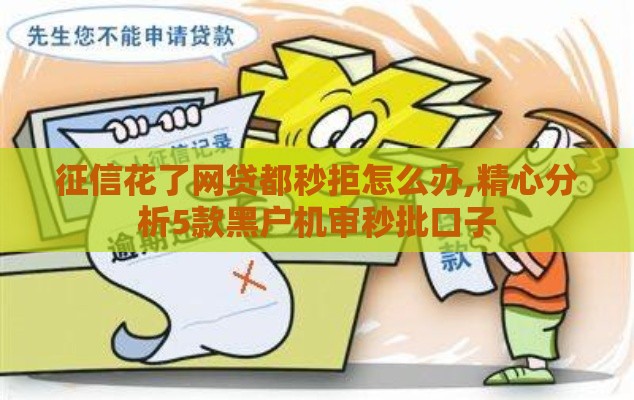 征信花了网贷都秒拒怎么办,精心分析5款黑户机审秒批口子