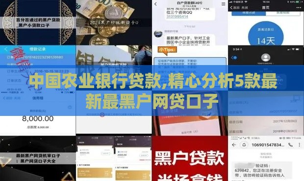 中国农业银行贷款,精心分析5款最新最黑户网贷口子