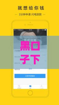 黑口子下款app平台,简单汇总5个黑户秒批口子