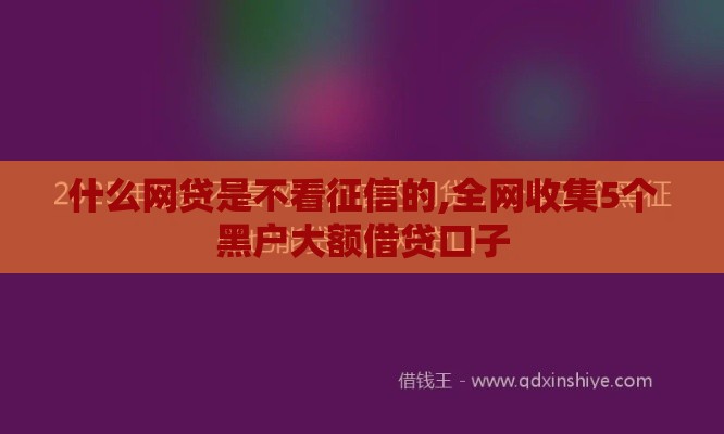 什么网贷是不看征信的,全网收集5个黑户大额借贷口子