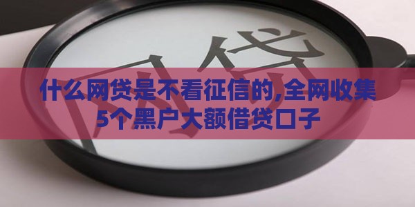 什么网贷是不看征信的,全网收集5个黑户大额借贷口子