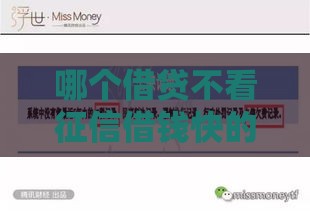 哪个借贷不看征信借钱快的,精心分析5款网贷黑户论坛口子