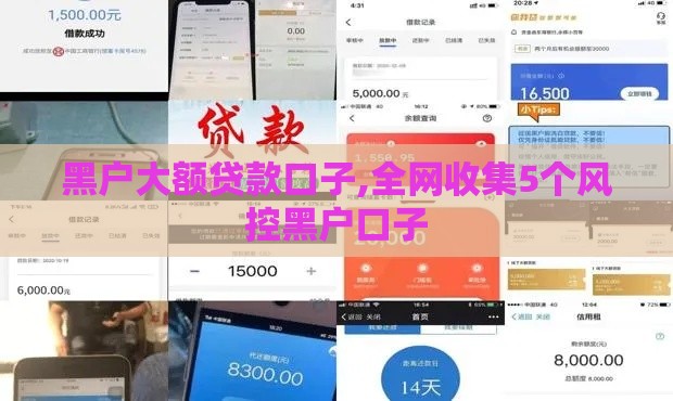 黑户大额贷款口子,全网收集5个风控黑户口子