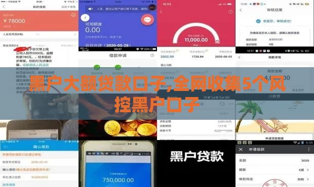 黑户大额贷款口子,全网收集5个风控黑户口子