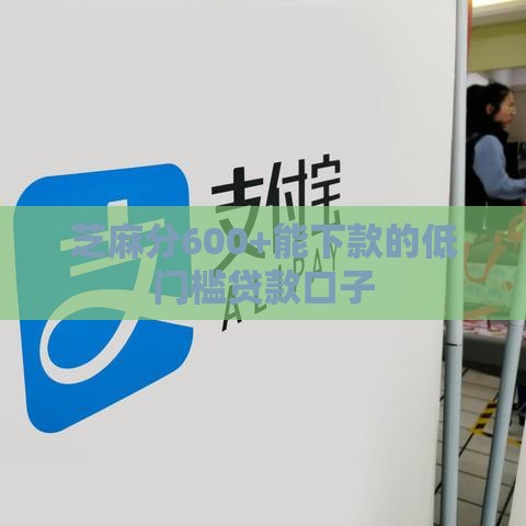 芝麻分600+能下款的低门槛贷款口子