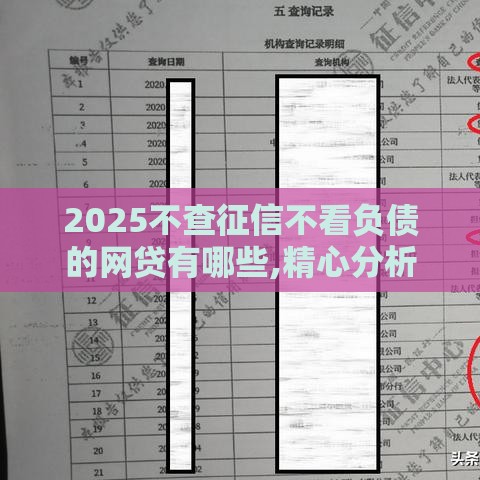 2025不查征信不看负债的网贷有哪些,精心分析5款黑户真实能贷的口子
