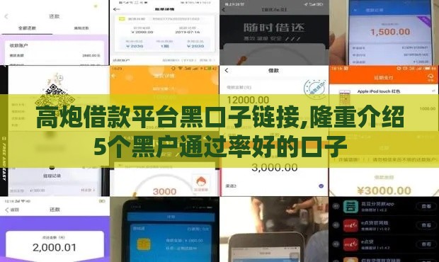 高炮借款平台黑口子链接,隆重介绍5个黑户通过率好的口子