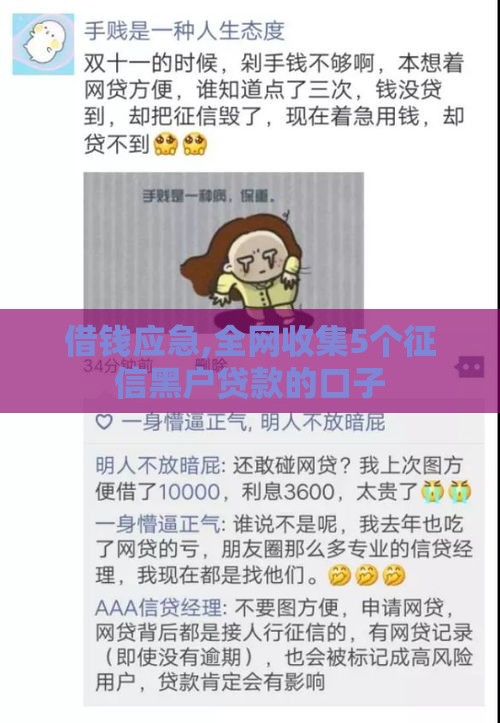 借钱应急,全网收集5个征信黑户贷款的口子