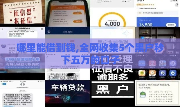 哪里能借到钱,全网收集5个黑户秒下五万的口子