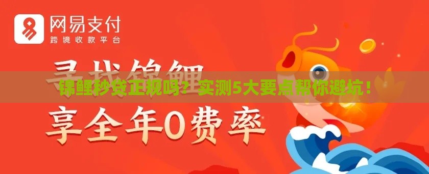 锦鲤秒贷正规吗？实测5大要点帮你避坑！