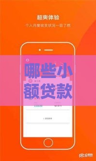 哪些小额贷款易下款,全网收集5个黑户口子群分享