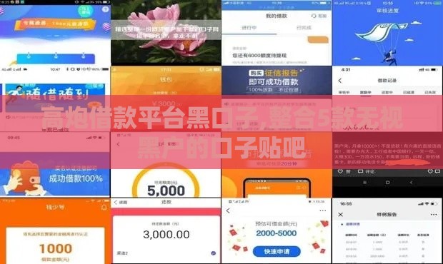 高炮借款平台黑口子,整合5款无视黑户的口子贴吧