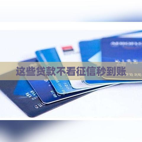 这些贷款不看征信秒到账