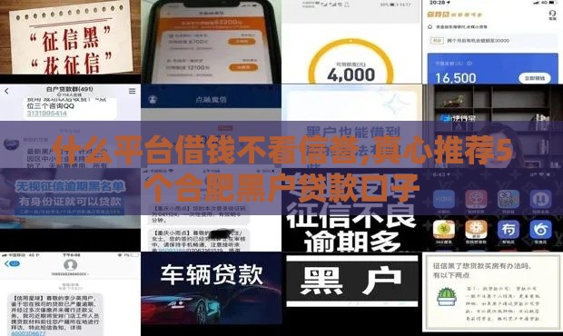 什么平台借钱不看信誉,真心推荐5个合肥黑户贷款口子