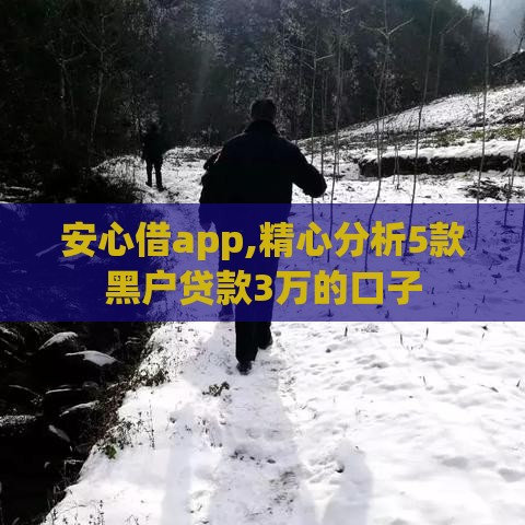 安心借app,精心分析5款黑户贷款3万的口子