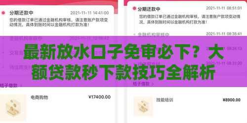 最新放水口子免审必下？大额贷款秒下款技巧全解析！