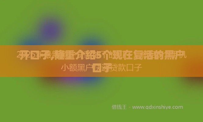 开口子,隆重介绍5个现在复活的黑户口子