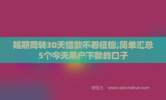 短期周转30天借款不看征信,简单汇总5个今天黑户下款的口子