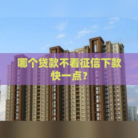 哪个贷款不看征信下款快一点？