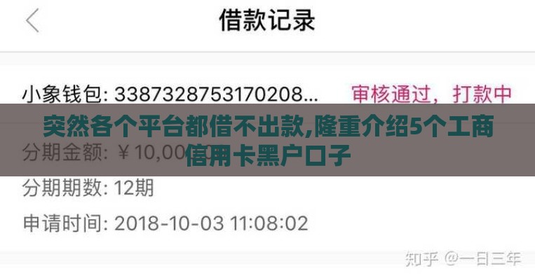 突然各个平台都借不出款,隆重介绍5个工商信用卡黑户口子
