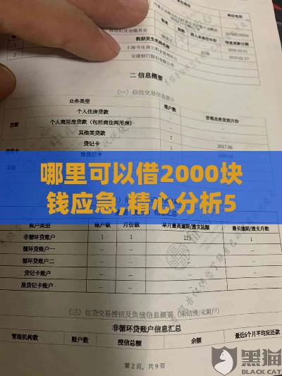 哪里可以借2000块钱应急,精心分析5款不电审的黑户口子