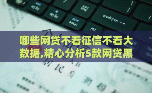 哪些网贷不看征信不看大数据,精心分析5款网贷黑户口子代理
