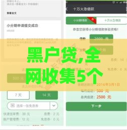 黑户贷,全网收集5个哪有出售黑户口子的