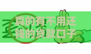 真的有不用还钱的贷款口子？先看看这个避坑指南！
