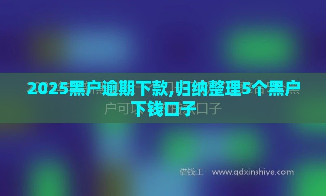 2025黑户逾期下款,归纳整理5个黑户下钱口子
