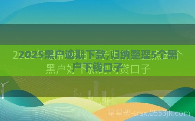 2025黑户逾期下款,归纳整理5个黑户下钱口子