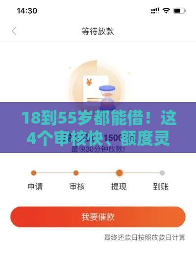 18到55岁都能借！这4个审核快、额度灵活的借款口子必看