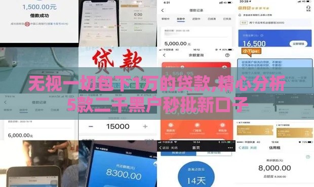 无视一切包下1万的贷款,精心分析5款二千黑户秒批新口子
