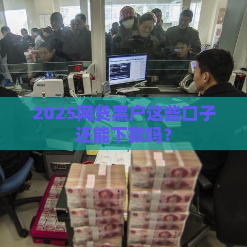 2025网贷黑户这些口子还能下款吗？