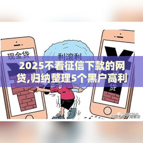 2025不看征信下款的网贷,归纳整理5个黑户高利贷的口子