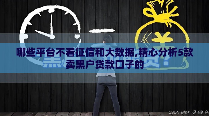 哪些平台不看征信和大数据,精心分析5款卖黑户贷款口子的