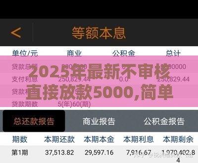 2025年最新不审核直接放款5000,简单汇总5个黑户口子到账850