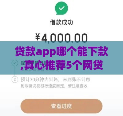 贷款app哪个能下款,真心推荐5个网贷黑户贷款口子