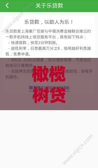 橄榄树贷款口子靠谱吗？手把手教你申请攻略