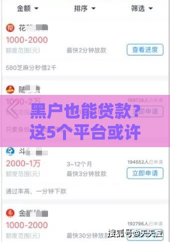 黑户也能贷款？这5个平台或许能帮你应急（真实测评）