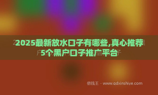 2025最新放水口子有哪些,真心推荐5个黑户口子推广平台