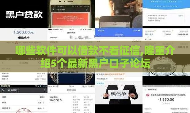 哪些软件可以借款不看征信,隆重介绍5个最新黑户口子论坛