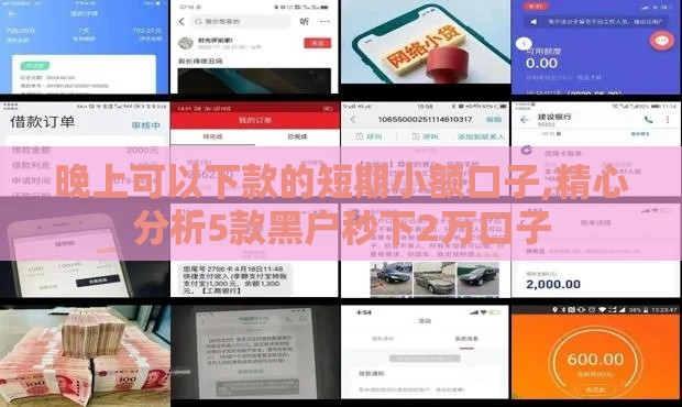 晚上可以下款的短期小额口子,精心分析5款黑户秒下2万口子