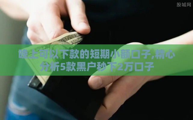 晚上可以下款的短期小额口子,精心分析5款黑户秒下2万口子