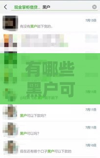 有哪些黑户可以下钱的口子,精心分析5款最新的黑户口子论坛